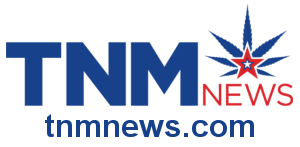 TNMNews Business Directory