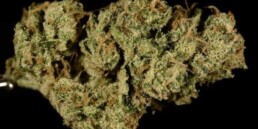 weed-reviews-red-headed-stranger