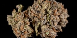 420 Weed Reviews: Cherry Pie Strain