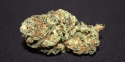 420 Weed Reviews: Deadhead OG Strain