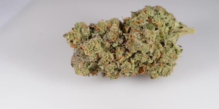 Panama Punch strain. It's a fruity sativa with big berry notes, distinctive pear underneath, and black pepper spice. The smoke is said to be very smooth