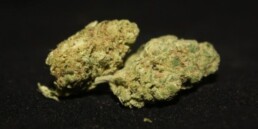 420 Weed Reviews: The UK Cheese