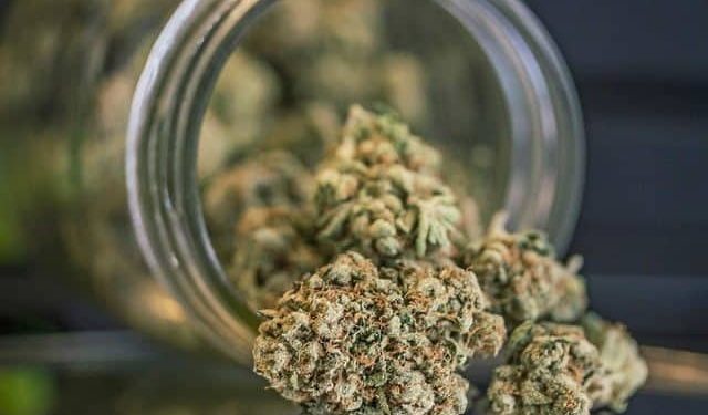 New Marijuana Related Gadgets For Your Home