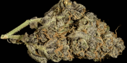 420 Weed Reviews: Grape Skunk