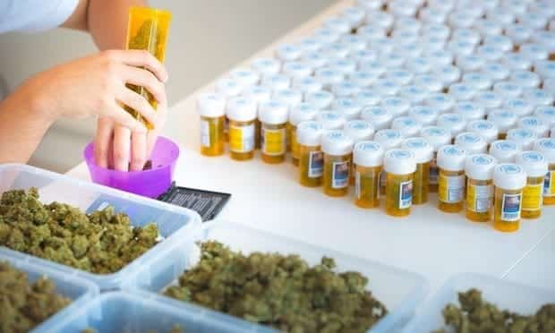 Swiss Cannabis Farm Seeks European Expansion