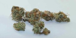 420 Marijuana Reviews: Jack Skellington
