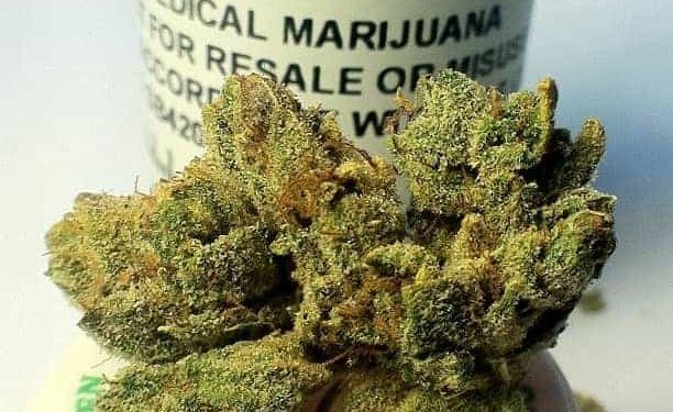 Yoda OG strain! An indica as strong as its legendary Jedi namesake, it is known to provide very effective pain and anxiety relief as well as increased appetite