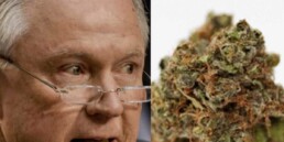 Jeff Sessions's Very Own Strain of Marijuana!