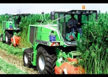 Cashinbis’s Best of Cannabis Awards Goes to Hemp, Inc. for ‘Best Hemp Company’ of 2018