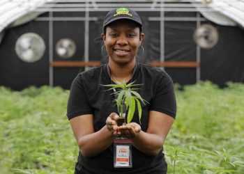 Opinions On 4/20 From Those In The Know, weed news