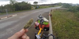 Cyclist Bikes 19k Miles To Dispel 'Lazy Stoner' Stereotype latest cannabis news