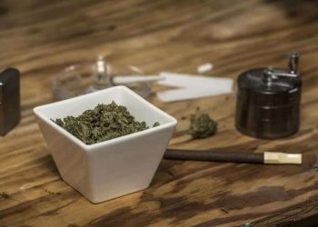 The Eternal Question: Joints Or Blunts? weed news