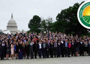 National Cannabis Industry Association (NCIA) Lobby Days, TNMNews, marijuana legalization