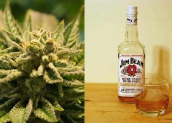 Jim Beam Heir Ben Kovler to take GTI Public in Canada through Reverse Merger