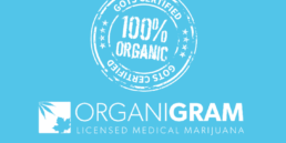 organigram holdings inc, prosper trading, marijuana stocks, prosper trading academy