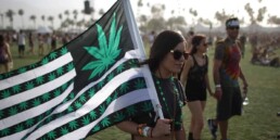 Marijuana OK To Be Sold At Cannabis Cup, marijuana legalization