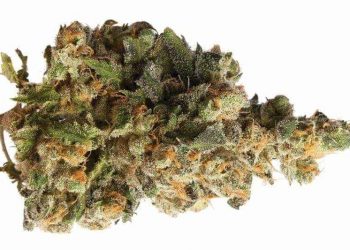 Using weed and its related products on a regular basis can get expensive. Here are a few tips to make the most of your marijuana.