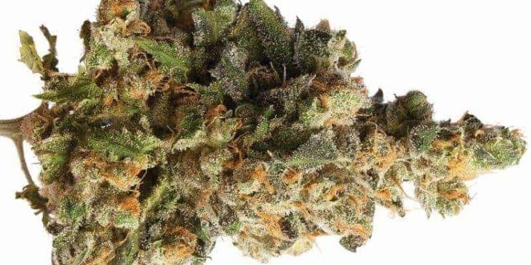 Using weed and its related products on a regular basis can get expensive. Here are a few tips to make the most of your marijuana.