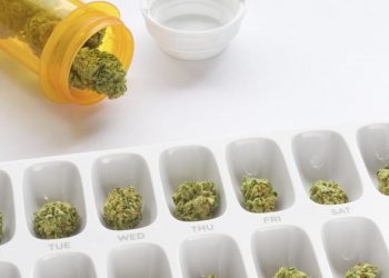 The Benefits Of Microdosing Cannabis