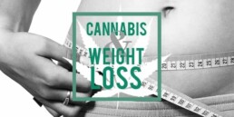 How Cannabinoids May Help You Lose Weight, marijuana news
