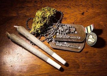 Veterans Affairs May be Forced to Research Cannabis, marijuana legalization