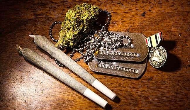 Veterans Affairs May be Forced to Research Cannabis, marijuana legalization
