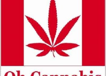 Benefits of Legalizing Cannabis in Canada, marijuana legalization, cannabis news
