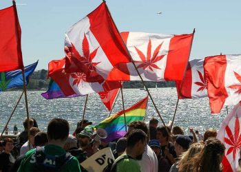 Canada Has Legalized Adult-Use Cannabis Nationally, cannabis news, marijuana legalization