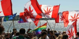 Canada Has Legalized Adult-Use Cannabis Nationally, cannabis news, marijuana legalization