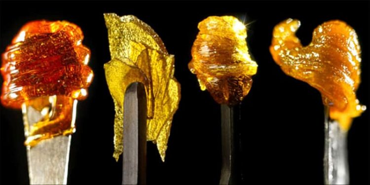 Cannabis Extracts, Concentrates And More, weed news