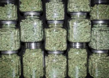Are You Smoking Too Much Weed?