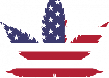 Senate Passes Fiscal Bill with Medical Marijuana Provision for Veterans, marijuana news