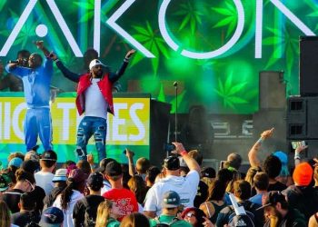 Michigan's Cannabis Cup: What You Need To Know, weed news
