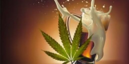 Weed And Alcohol In The U.S., marijuana news