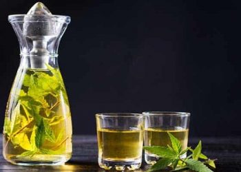 Weed Recipes: Cannabis Infused Wine,marijuana newsWeed Recipes: Cannabis Infused Wine,marijuana newsWeed Recipes: Cannabis Infused Wine,marijuana newsWeed Recipes: Cannabis Infused Wine,marijuana newsWeed Recipes: Cannabis Infused Wine,marijuana news
