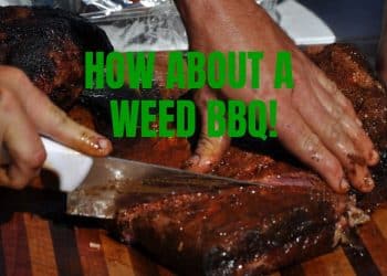 Weed Recipes: Cannabis Cookout, edibles, marijuana legalization, cannabis news
