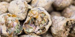 Meet The Mighty Moon Rocks, marijuana legalization, marijuana news