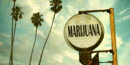 Marijuana Banking Problems Worse Now in California and Florida, marijuana news, SB 930