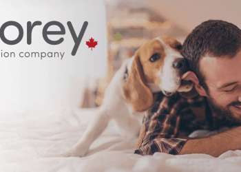 Cannabis-Infused Dog Food Coming Soon, marijuana news