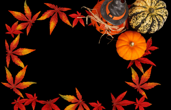 The Best Cannabis Strains For Fall, marijuana strain reviews, cannabis news