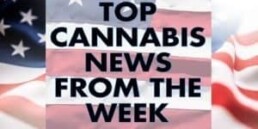 TNMNews Live Broadcast: October 12th, 2018 Cannabis News Week in Review, reschedule marijuana, marijuana shadow banning