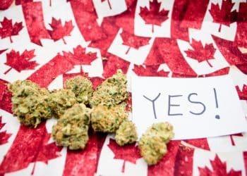 Canada Starts Selling Recreational Cannabis, Tweed, marijuana legalization, marijuana news