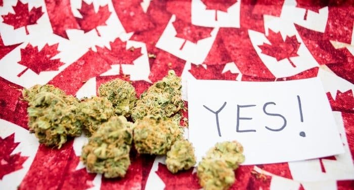 Canada Starts Selling Recreational Cannabis, Tweed, marijuana legalization, marijuana news
