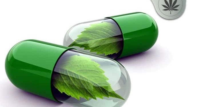 Tips For Detoxing From THC, cannabis news, marijuana drug tests, NBA drug policy