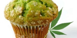 Weed Recipes: Marijuana Muffins, marijuana news, marijuana edibles