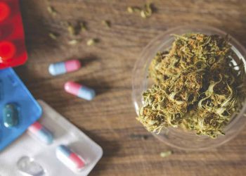 Can Cannabis Interact Negatively With Other Meds?