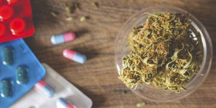 Can Cannabis Interact Negatively With Other Meds?