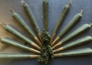 Best Cannabis Strains For Thanksgiving
