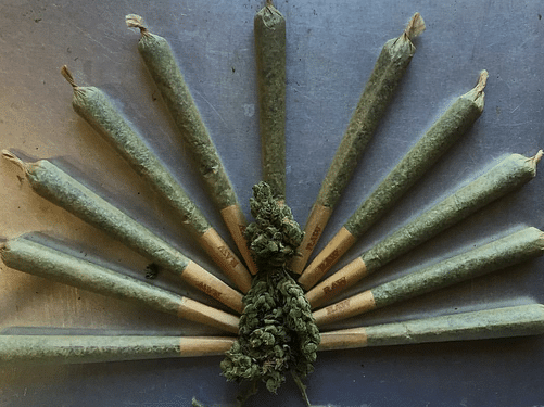 Best Cannabis Strains For Thanksgiving