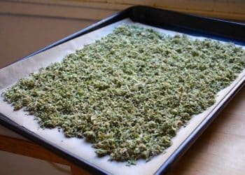 How To Decarboxylate Your Cannabis, weed decarb, prepping weed, prepping cannabis, prepping marijuana
